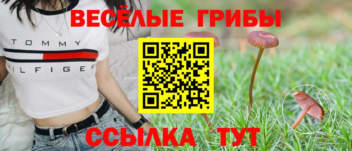 как найти наркотики  Псилоцибиновые грибы MAGIC MUSHROOMS  Гусиноозёрск  Вход с VPN  Галлюциногенные грибы Psilocybine cubensis 